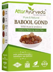 Babul Gond Gum - Kikar Gond - Babool Gond - Acacia arabica Willd